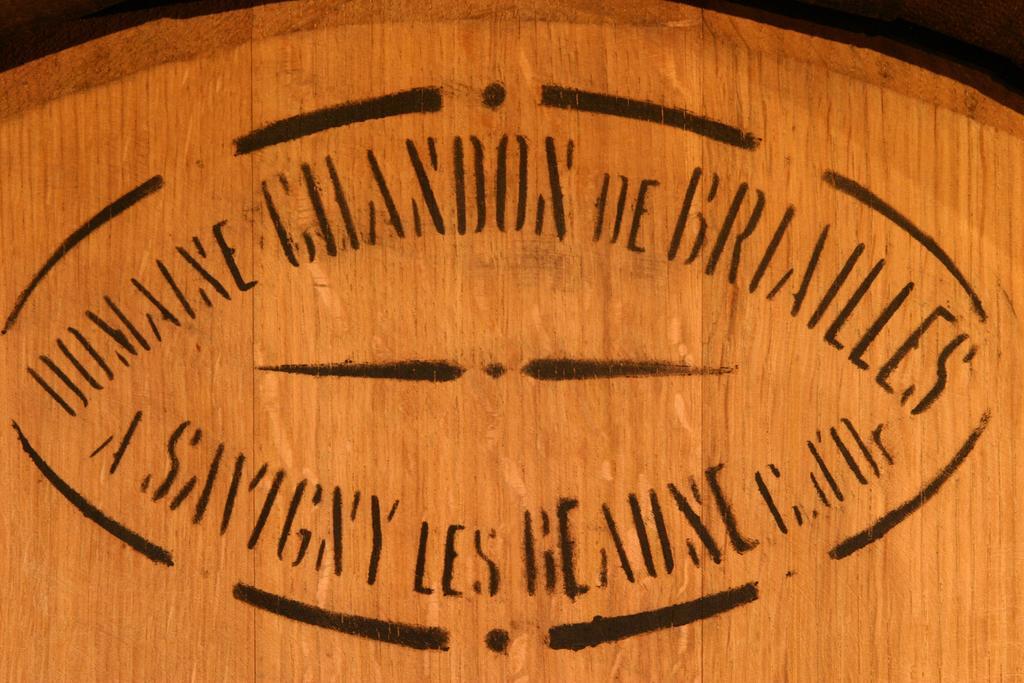 Maison D'Hotes Chandon De Briailles Savigny-les-Beaune Exterior photo